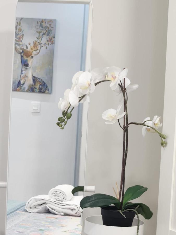 Apartamento Paula Valladolid Zewnętrze zdjęcie